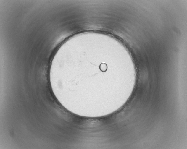 X0000115711314200911251847