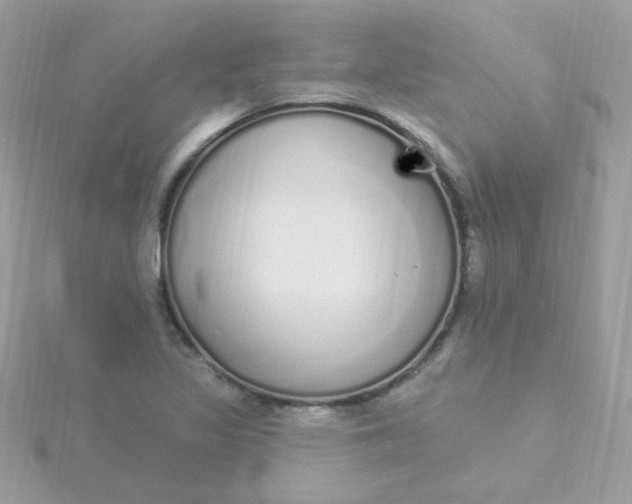 X0000115711317200911251847