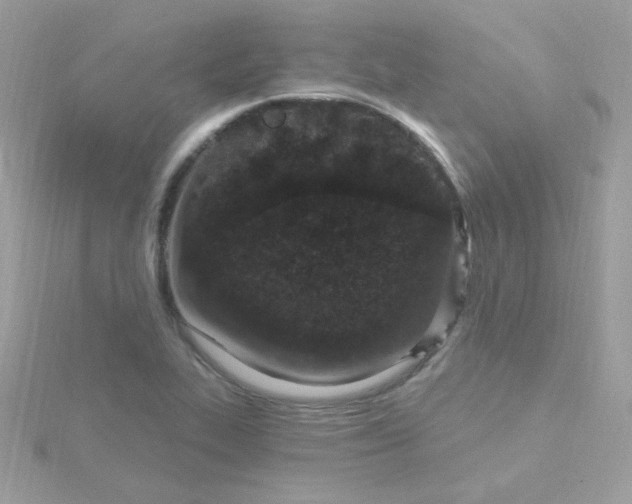 X0000115711319200911251847