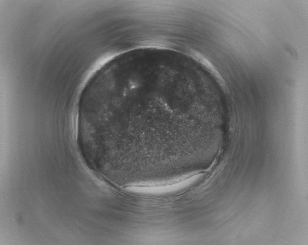 X0000115711323200911251847