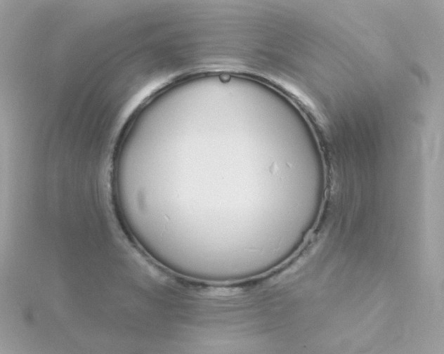 X0000115711325200911251847