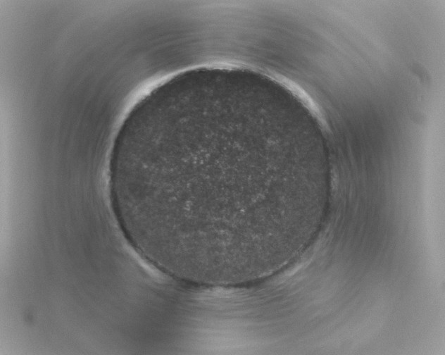 X0000115711327200911251847