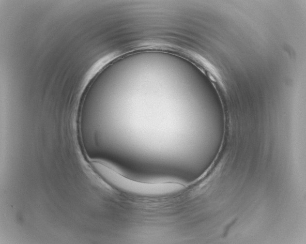 X0000115711330200911251847