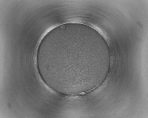 X0000115711331200911251847