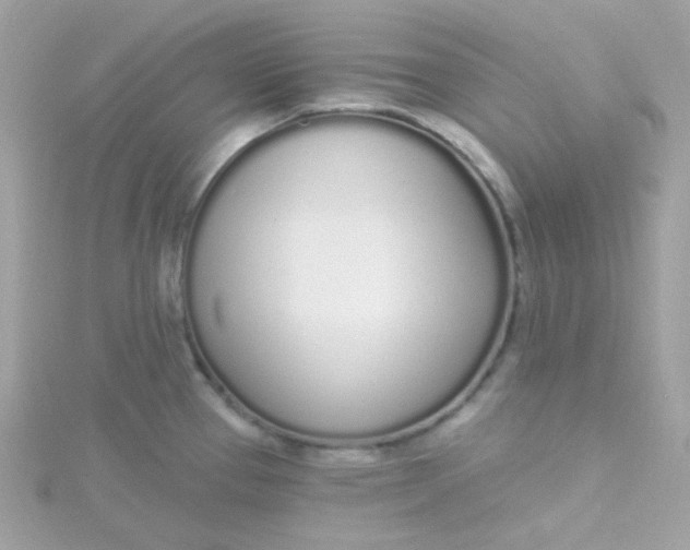 X0000115711337200911251847