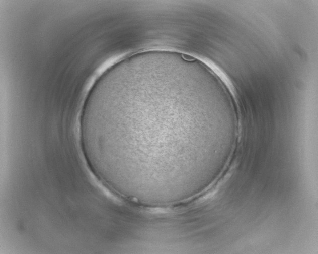 X0000115711341200911251847