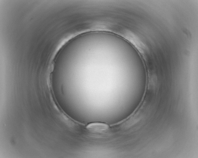 X0000115711342200911251847