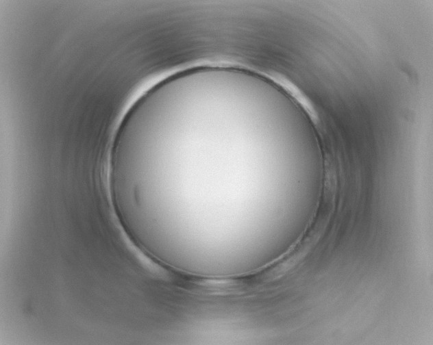 X0000115711343200911251847