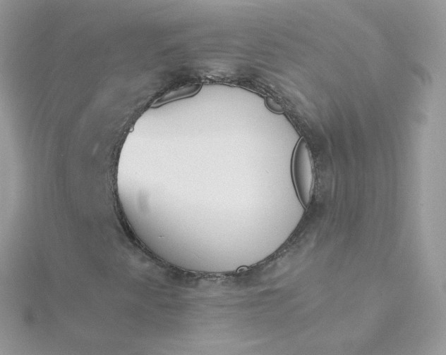 X0000115711345200911251847