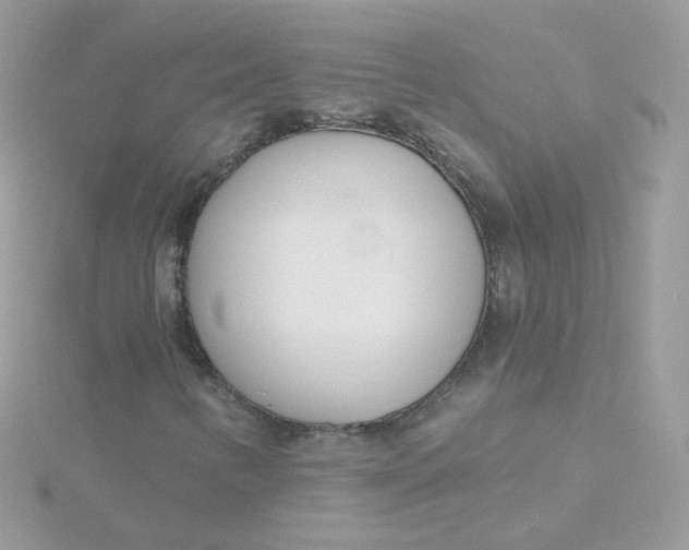 X0000115711346200911251847