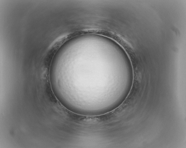 X0000115711351200911251847