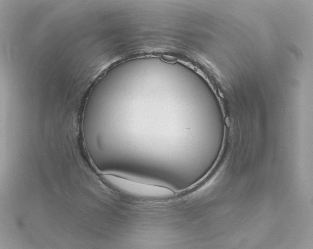 X0000115711353200911251847