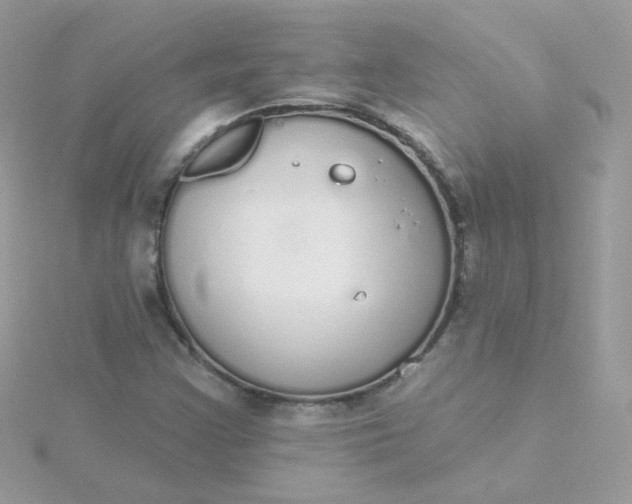 X0000115711355200911251847