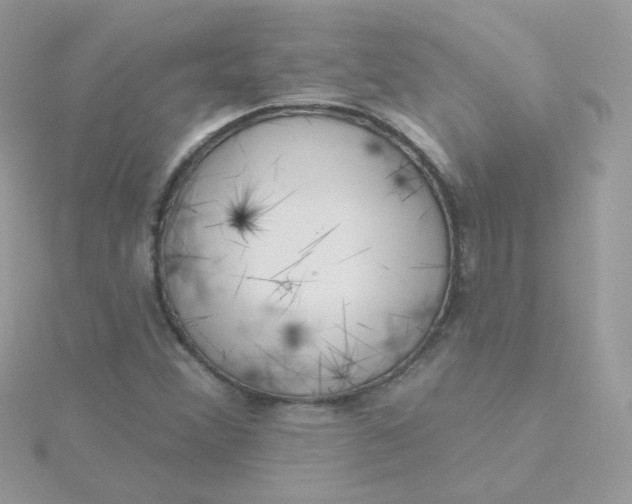 X0000115711356200911251847