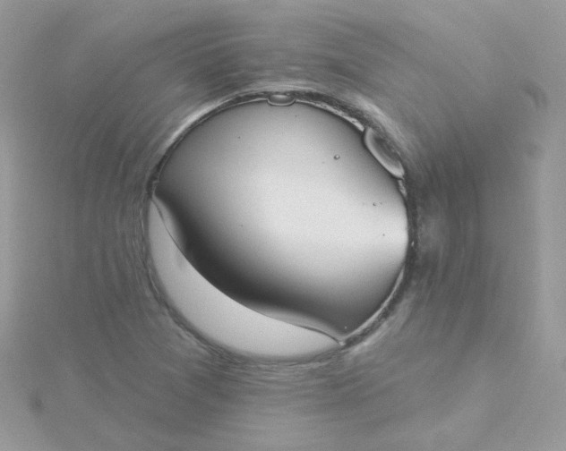 X0000115711361200911251847