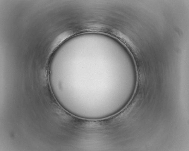 X0000115711362200911251847