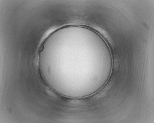 X0000115711366200911251847