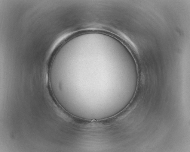 X0000115711368200911251847