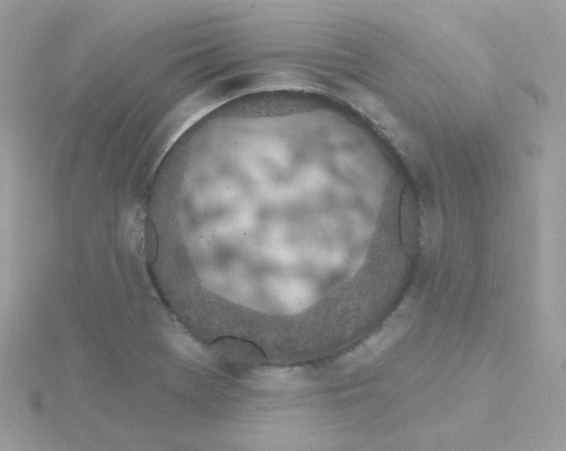 X0000115711369200911251847