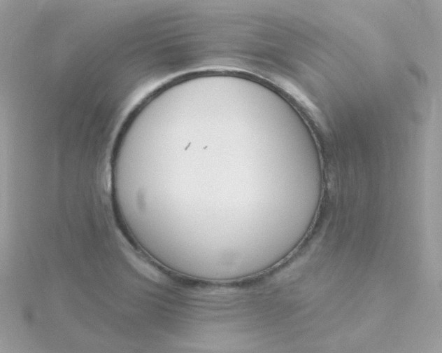 X0000115711372200911251846