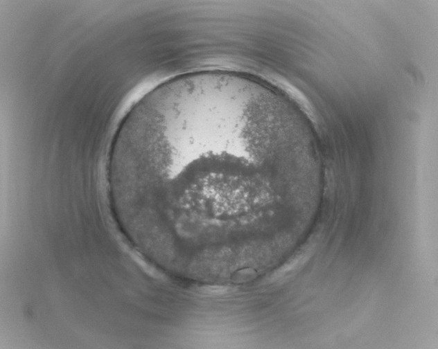 X0000115711373200911251846