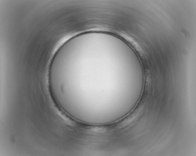 X0000115711375200911251846