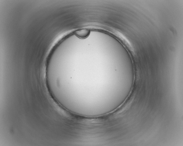 X0000115711376200911251846