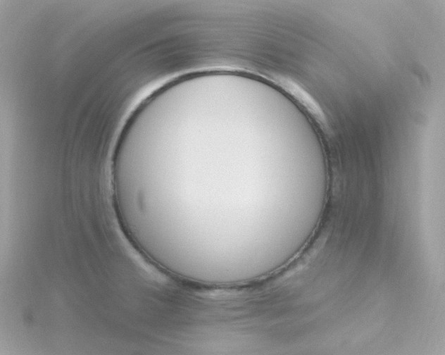 X0000115711380200911251846