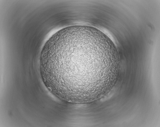 X0000115711381200911251846