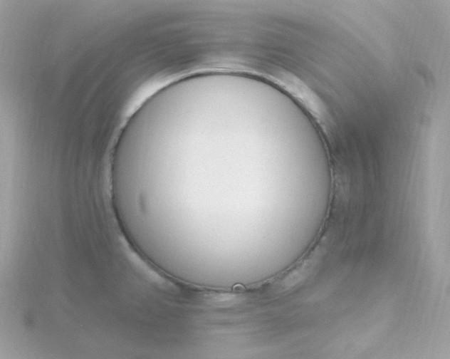 X0000115711382200911251846