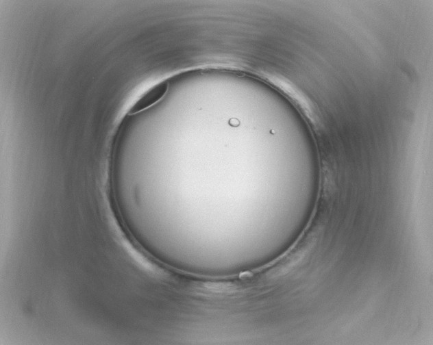 X0000115711383200911251846