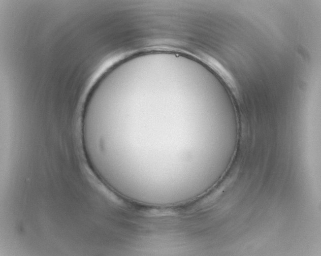 X0000115711384200911251846