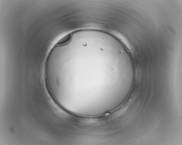 X0000115711387200911251846