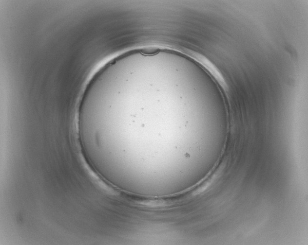 X0000115711388200911251846