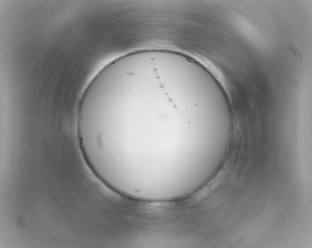 X0000115711390200911251846