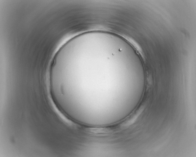 X0000115711391200911251846