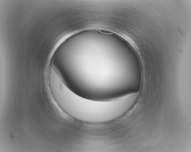 X0000115711392200911251846