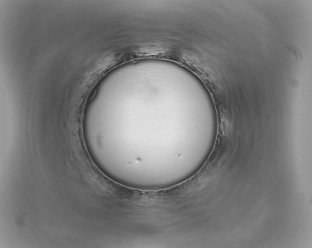 X0000115711393200911251845