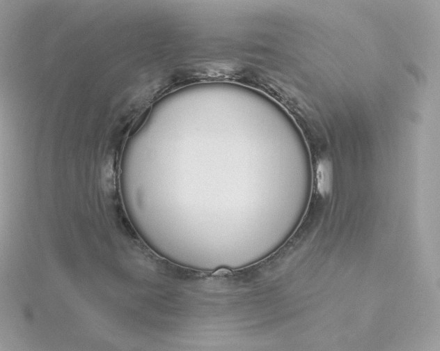 X0000115711395200911251845