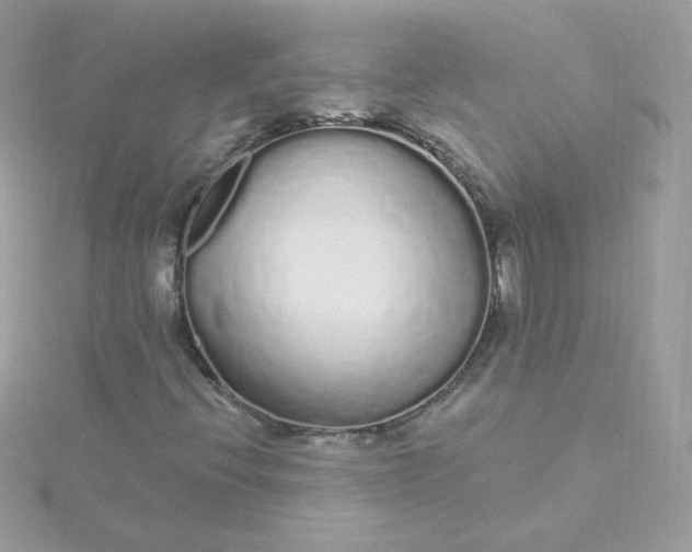 X0000115711396200911251845