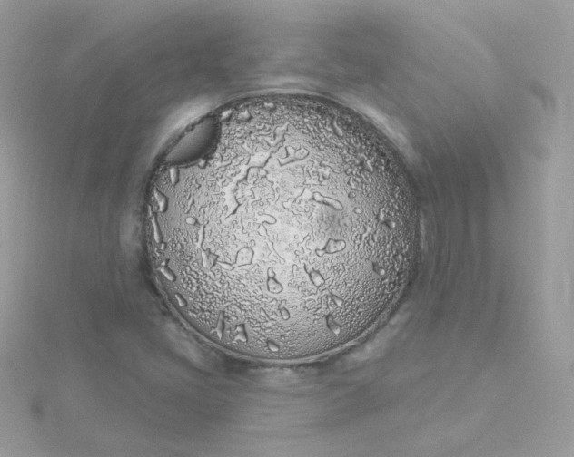 X0000115711405200911251846