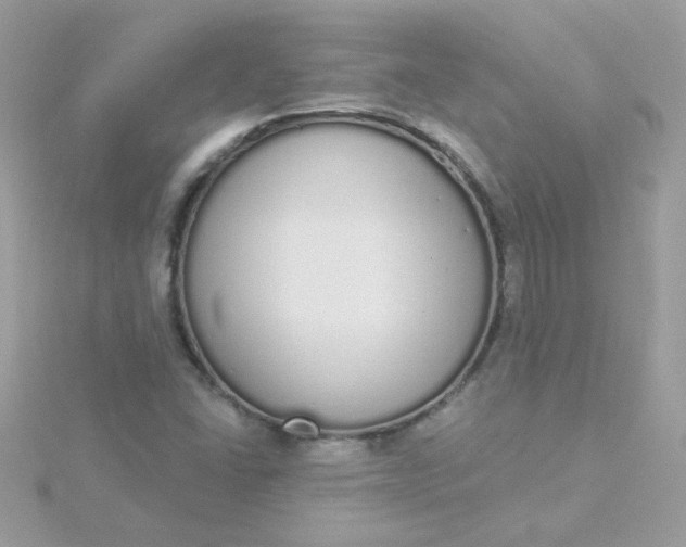 X0000115711406200911251846