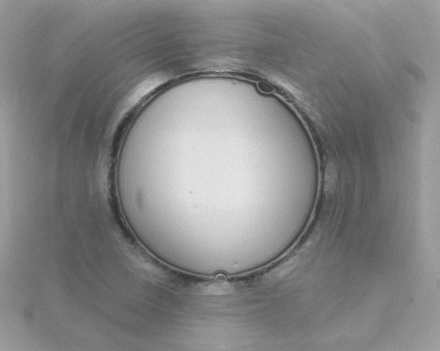 X0000115711410200911251846