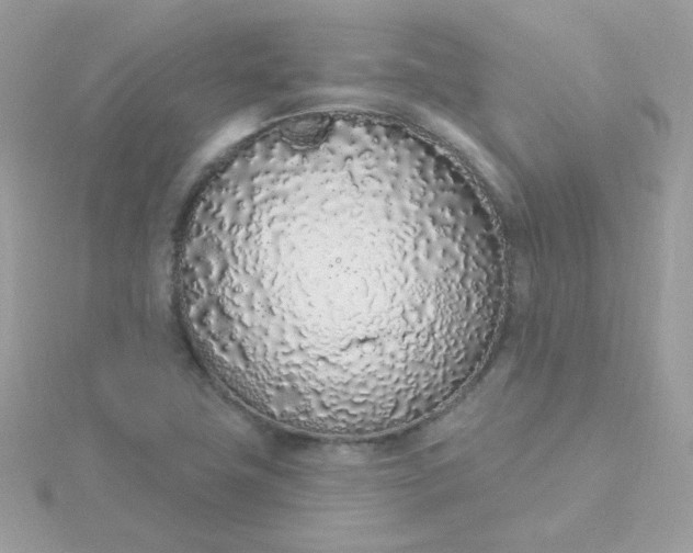 X0000115711411200911251846