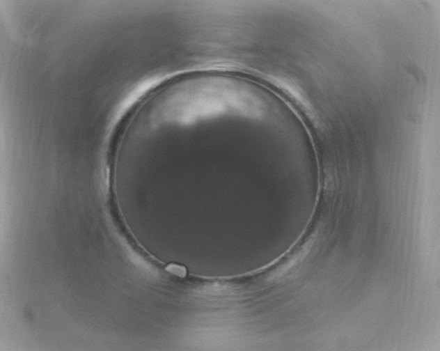 X0000115711414200911251846