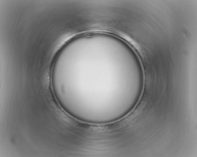 X0000115711415200911251846