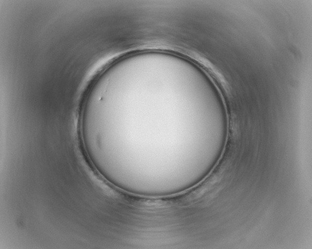 X0000115711416200911251846