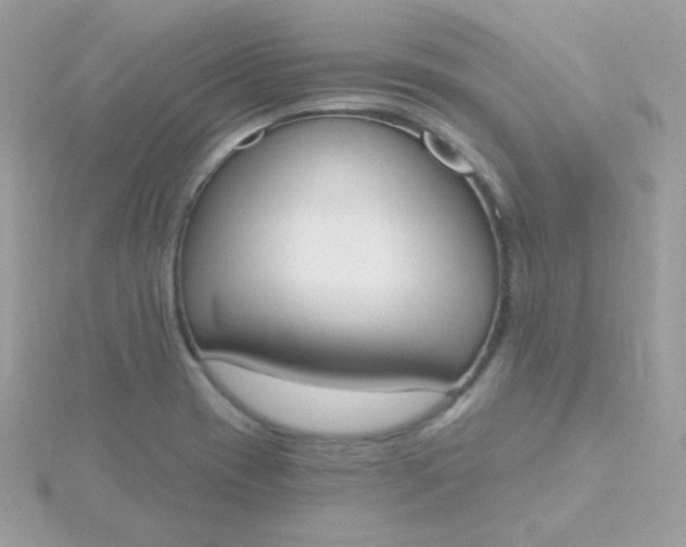 X0000115711417200911251846