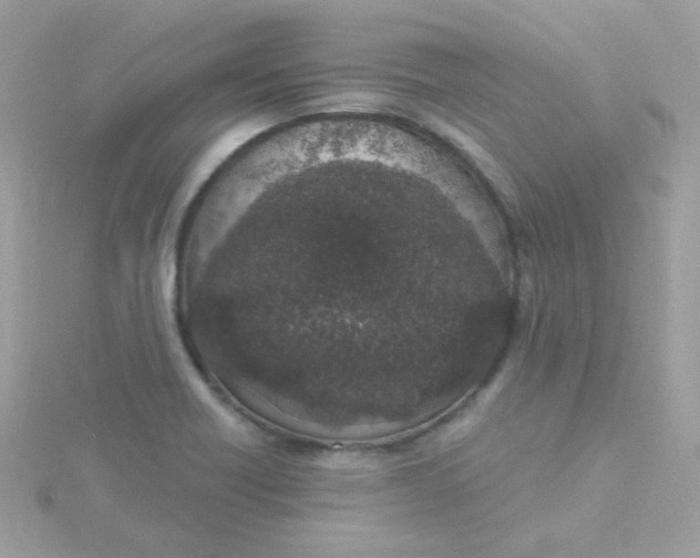 X0000115711418200911251846