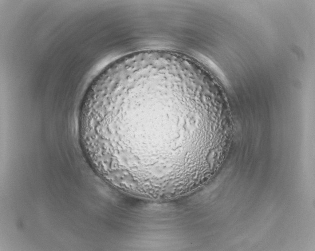 X0000115711419200911251846